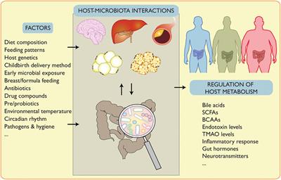 Host–Microbiota Mutualism in Metabolic Diseases